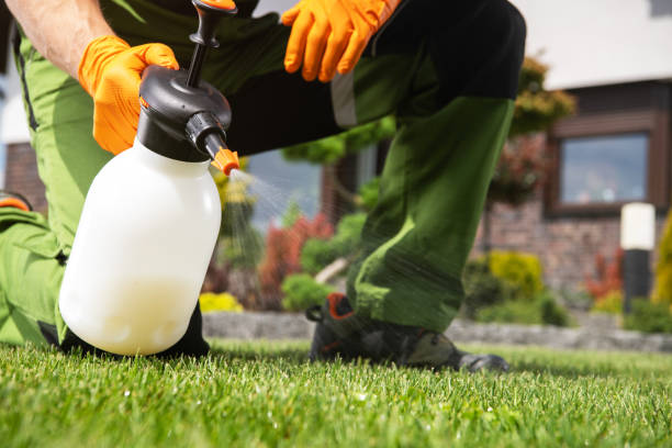 Best Ant Control Services  in Caledonia, WI