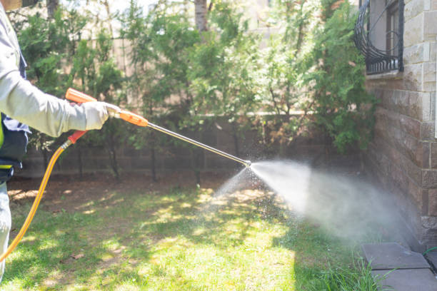 Best Spider Control Near Me  in Caledonia, WI