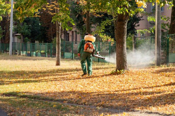 Best Cockroach Control Services  in Caledonia, WI