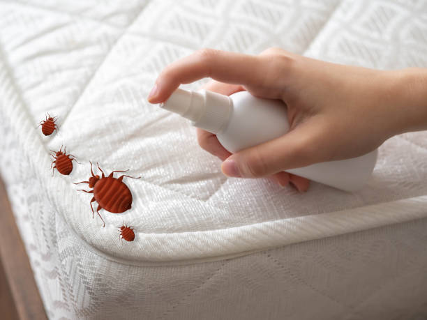 Best Best Pest Control Companies  in Caledonia, WI